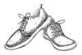 Sneakers for running and Sports. Vector illustration of jogging Shoes on isolated background. Drawing of trainers for Royalty Free Stock Photo