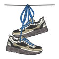 Sneakers on wire sketch color engraving vector