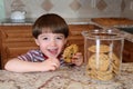 Sneaking a Cookie Royalty Free Stock Photo