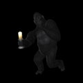 Sneaky Quiet Gorilla With Candle Illustration