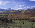 Sneffels Mountain Range, CO Royalty Free Stock Photo