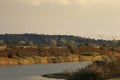 Snettisham RSPB and Pink footed Geese Royalty Free Stock Photo