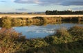 Snettisham RSPB Royalty Free Stock Photo