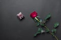 Sngle red rose and brown jewelery box on black colored paper background, with copy space Royalty Free Stock Photo