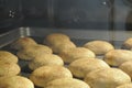 Snickerdoodles sugar cookies baking into the oven Royalty Free Stock Photo
