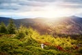 Snieznik Landscape Park at sunset