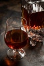 Snifter of brandy and decanter Royalty Free Stock Photo
