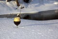 Snifter in the Snow Royalty Free Stock Photo