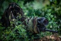 Sniper in camouflage suit in an ambush among the bushes. The shooter aims from a carbine with an optical sight