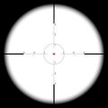 Sniper's scope sight view