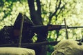 Sniper soldier with gun Royalty Free Stock Photo