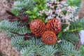 Snitch and wreaths from flowers, All Saints Day concept.