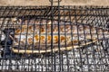 Snoek Fish Barbeque Braai Royalty Free Stock Photo