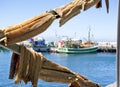 Snoek fish drying in the sun Royalty Free Stock Photo