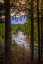 Snoqualmie River View Through the Forest, Washington Royalty Free Stock Photo