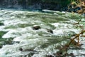 Snoqualmie River Whitewater Illustration