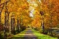 Snoqualmie Valley multi use trail lined by trees in fall colors Royalty Free Stock Photo