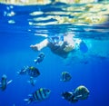 Snorkel Royalty Free Stock Photo