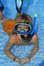 Snorkel and mask Royalty Free Stock Photo