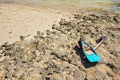 Snorkel, mask, fins and simple spear fishing harpoon on sun lit rocky beach near sea, local Malagasy fisher equipment Royalty Free Stock Photo