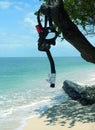 Snorkel & Mask on Tree Royalty Free Stock Photo
