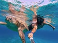 Snorkel swim with green sea turtle, Marsa Alam, Egypt Royalty Free Stock Photo