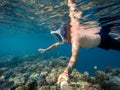 Snorkel swim in shallow water with coral fish, Red Sea, Egypt