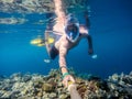 Snorkel swim in shallow water with coral fish, Red Sea, Egypt