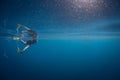 Snorkeler in Calm, Blue Water