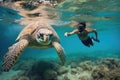 snorkeler diving deep to touch a sea turtle in its natural habitat Royalty Free Stock Photo