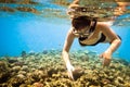 Snorkeler. Red sea Royalty Free Stock Photo