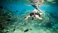 Snorkeler. Red sea Royalty Free Stock Photo