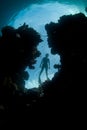 Snorkeler and Reef Crevice in Raja Ampat, Indonesia Royalty Free Stock Photo