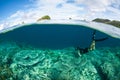 Snorkeler and Shallow Coral Reef in Raja Ampat Royalty Free Stock Photo