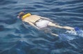 Snorkeler in water, Key West, FL