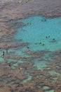 Snorkelers In Coral Reef Royalty Free Stock Photo