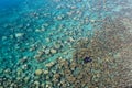 Snorkelers Explore Coral Reef in Palau Royalty Free Stock Photo