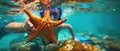 Snorkelers Hand Gently Cradles A Vibrant Starfish Amid An Underwater Adventure