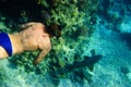 Snorkeling Royalty Free Stock Photo
