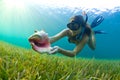 Snorkeling with a Conch shell