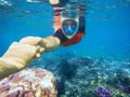 Snorkeling couple holding hands in blue ocean near coral reef