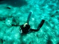 Snorkeling and diving in Red sea