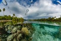 Snorkeling in french polynesia coral reef gardens and rainbow Royalty Free Stock Photo