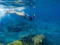 Snorkeling girl in full-face snorkeling mask. Coral reef in shallow sea. Royalty Free Stock Photo