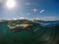 Snorkeling girl in sunny tropical seashore. Woman swim in blue sea. Snorkeling girl in full-face snorkeling mask Royalty Free Stock Photo