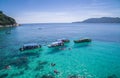 Snorkeling group in clear water