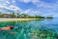 Snorkeling on the Mauritius island, Africa. Flick and flac beach, Tamarin Bay Royalty Free Stock Photo