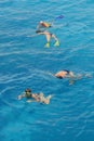 Snorkeling in pairs Royalty Free Stock Photo