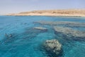 Snorkeling in the Red Sea near Hurghada (Egypt) Royalty Free Stock Photo