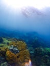 snorkeling trip at Samaesan Thailand dive underwater with fishes in the coral reef sea pool Royalty Free Stock Photo